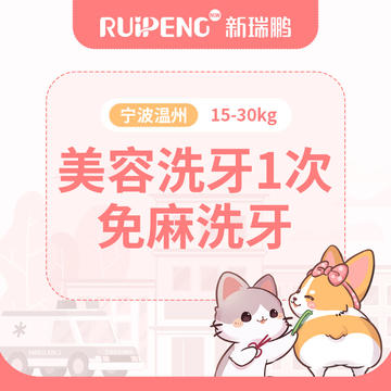 【宁波温州】狗狗免麻洗牙 中型犬15-30kg